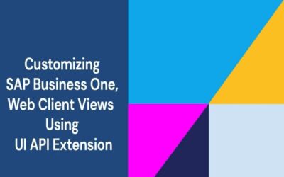 🚀 SAP Business One Web Client Extensibility – UI API Extensions