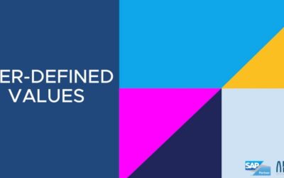 SAP Business One Web Client Extensibility – Built-in Customization